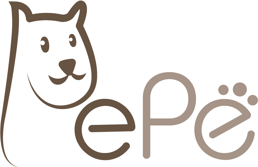 Olfa - Onshine - Parrot - Pepe Clipart (1075x698), Png Download