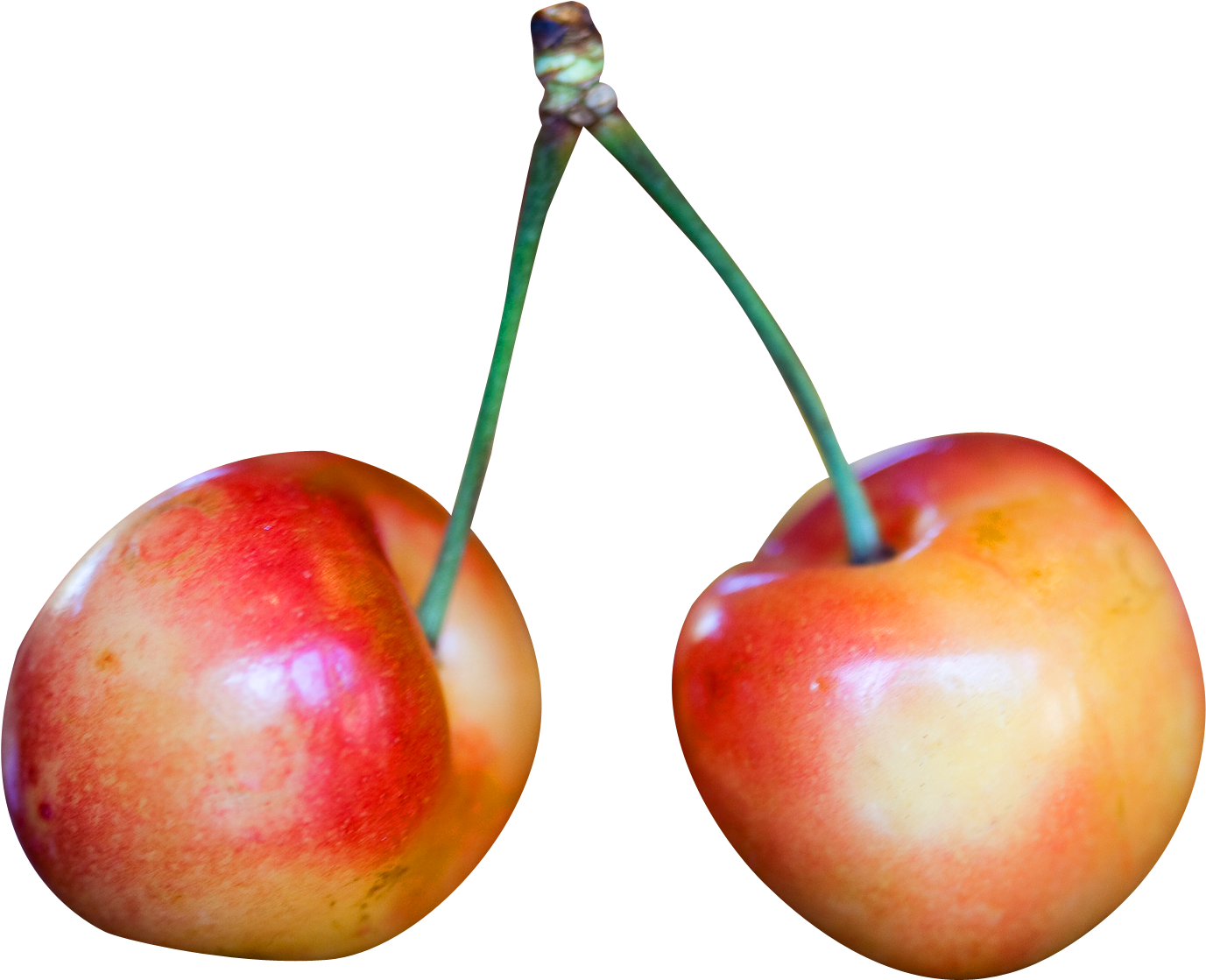 Rainier Cherry,fruits Clipart (1518x1227), Png Download