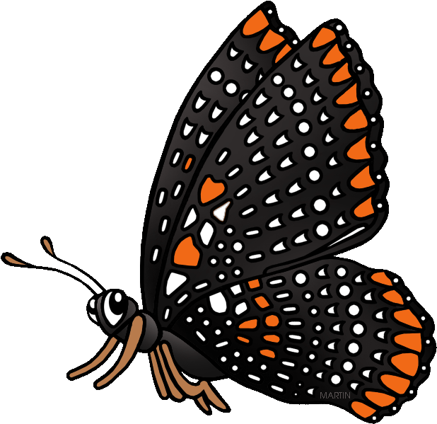 State Insect Of Maryland Clipart (648x633), Png Download