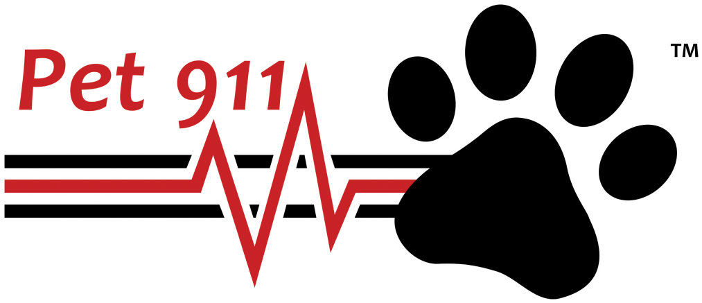 How Prepared Are You Clipart (1030x454), Png Download