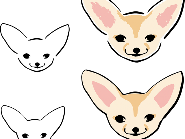 Chihuahua Clipart Hand Drawn - Png Download (640x480), Png Download