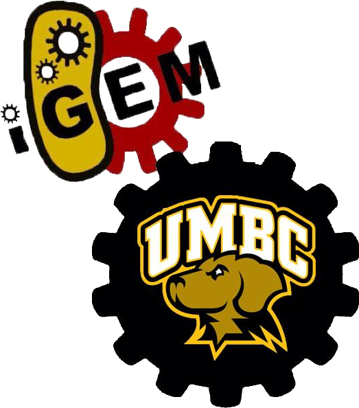 Team - Umbc-maryland/notebook Clipart (640x640), Png Download