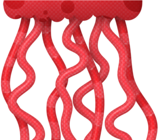 The Sea Clipart Aquatic Animal - Png Download (640x480), Png Download