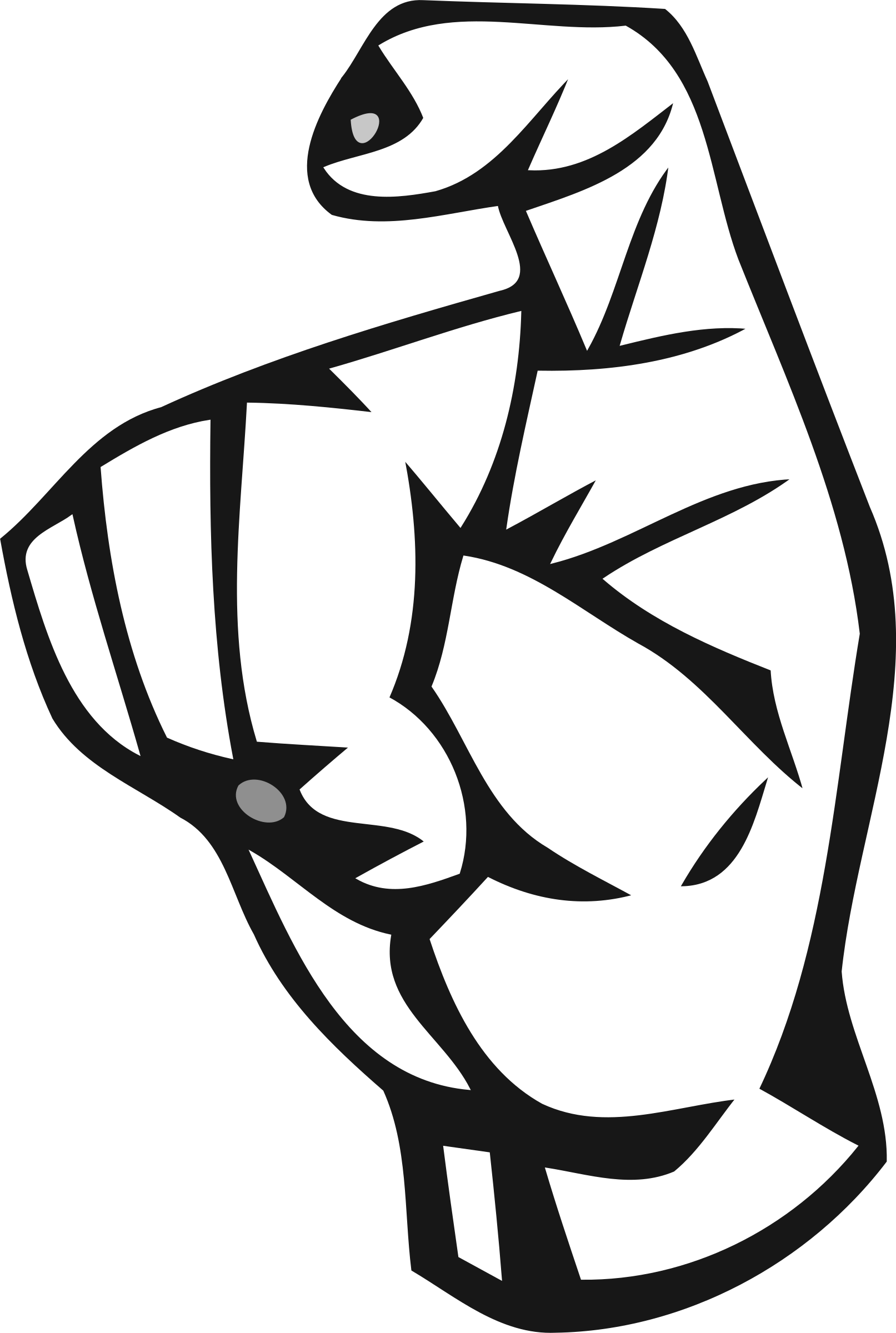 Medium Image Clipart (538x800), Png Download