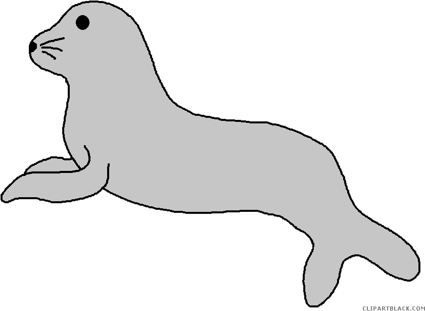 Seal Clipart - Png Download (862x633), Png Download