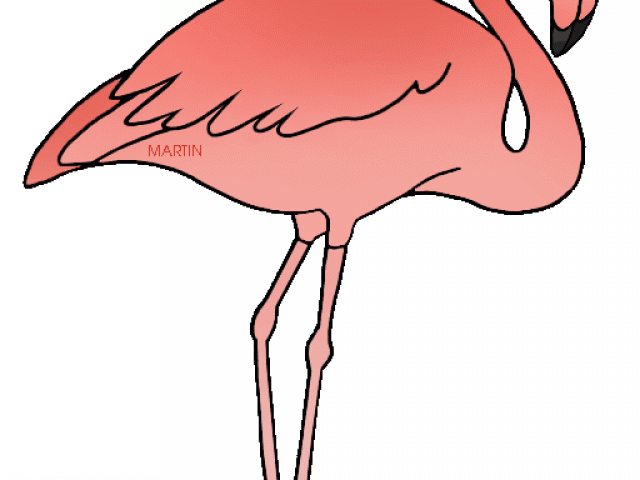 Flamingo Clipart Copyright Free - Png Download (640x480), Png Download