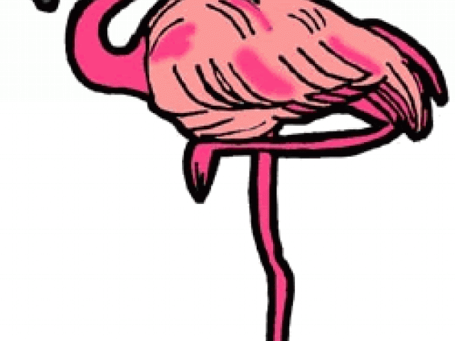 Flamingo Clipart Animation - Png Download (640x480), Png Download