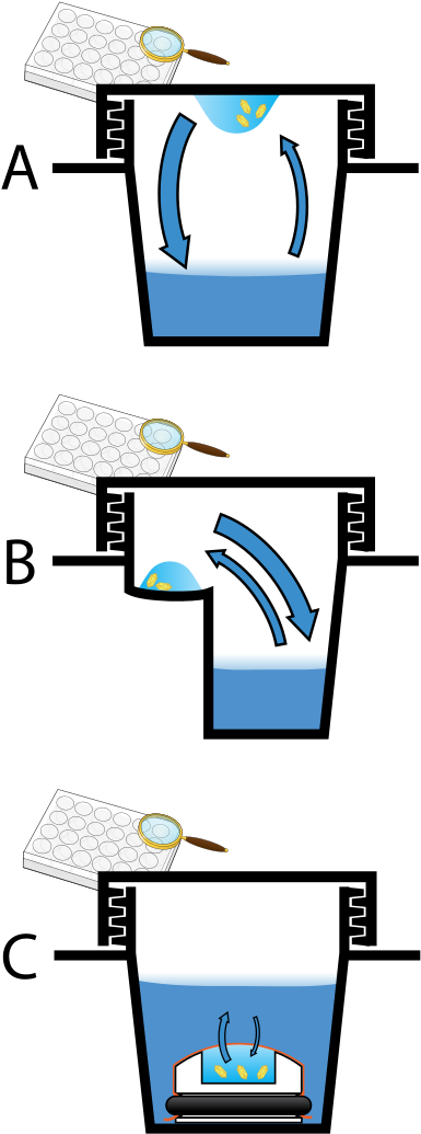 Three Methods Of Preparing Crystals, A Clipart (440x1098), Png Download