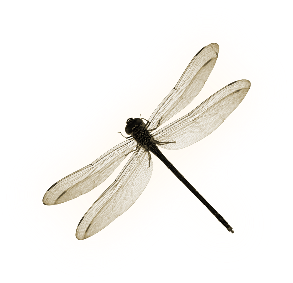 C Ed B Clipart (1024x992), Png Download