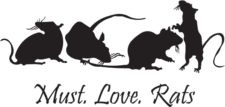 Rat Facts, Fancy Rat, Cute Rats, Rodents, Fur Babies, Clipart (840x400), Png Download