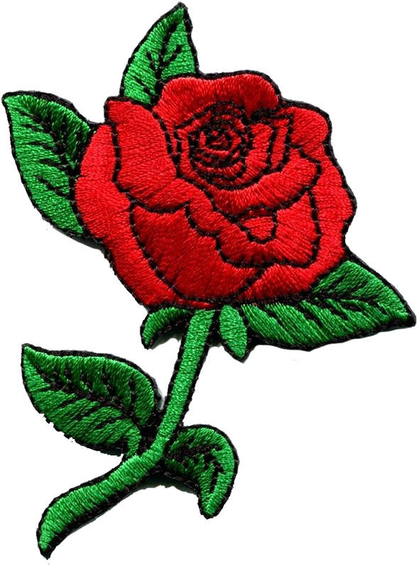 Red Rosa Images Transparentpng Clipart (800x800), Png Download