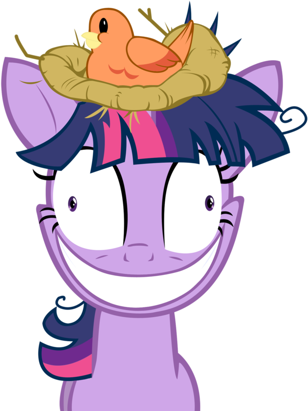 71863 Bird Bird Nest Insane Nest Twilight Sparkle Vector Clipart (662x819), Png Download