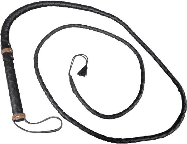 Download Whip Png Images Background Clipart (850x638), Png Download