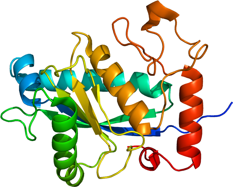 Adam Clip Art - Png Download (836x682), Png Download