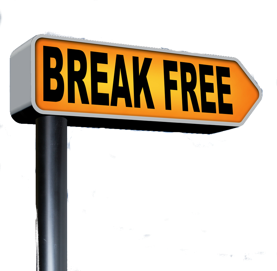 Becoming Successful In Spite Of Criticism Clipart (900x880), Png Download