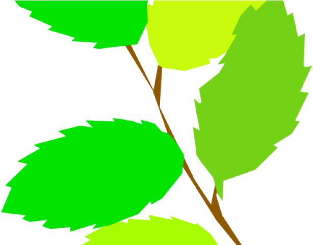 Green Leaves Clipart 5 Leave - Png Download (640x480), Png Download