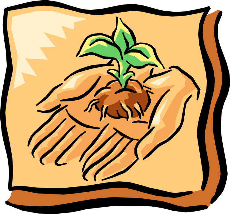 Vector Illustration Of Hands Hold And Nurture Sprouting Clipart (751x700), Png Download