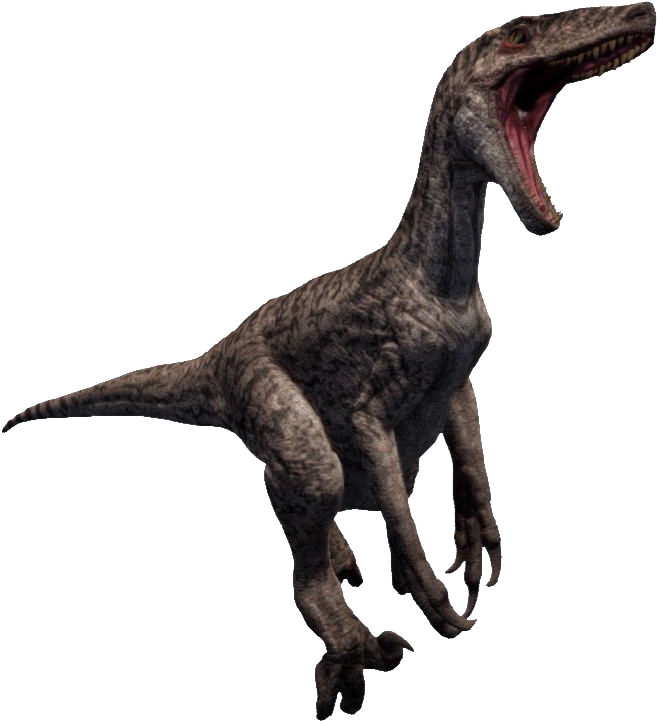 Raptor Png Clip Freeuse Stock Transparent Png (714x778), Png Download