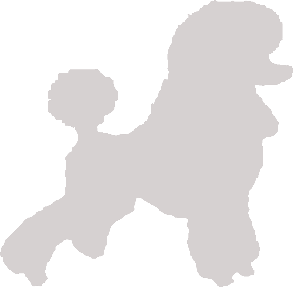 Gemstone S Poodles Home Clipart (950x930), Png Download