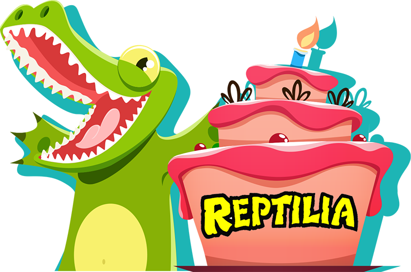 Cheap fun. Cheap fun. Креативная реклама канцелярии. Велосипед пикник. Элитный пикник fashion съемка.