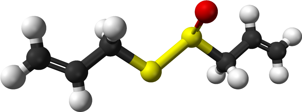 R Allicin 3d Balls Clipart (1100x470), Png Download
