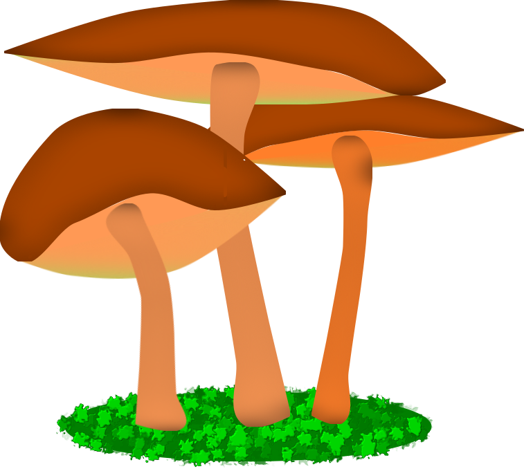 Illustration Friday - “mushroom” Clipart (757x678), Png Download