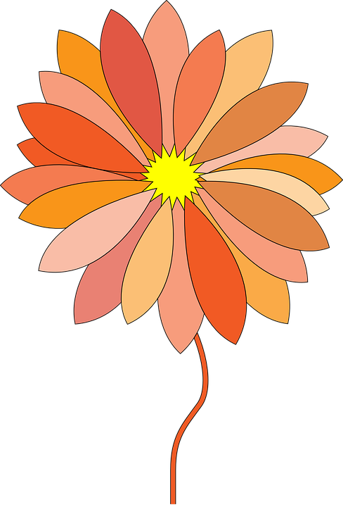Orange Flower Clipart Detailed Flower - Png Download (488x720), Png Download