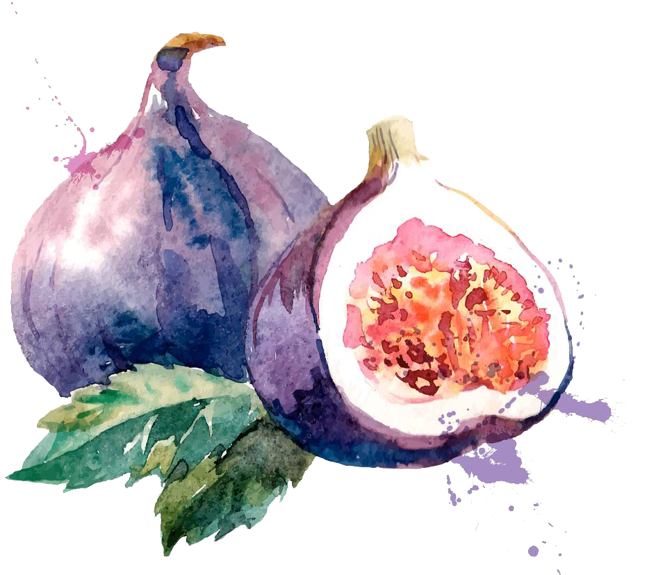 Clip Art Royalty Free Common Fig Watercolor Painting - Png Download (971x1000), Png Download