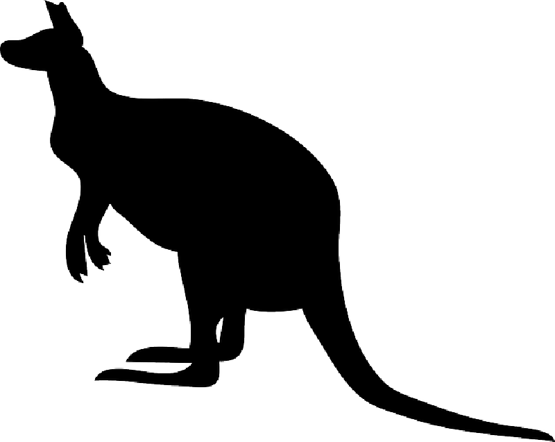 Black, Australia, Silhouette, Kangaroo, Pouch, Hop Clipart (800x637), Png Download