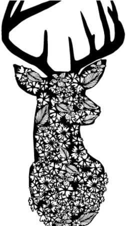 Floral Wildlife Prints Clipart (800x450), Png Download