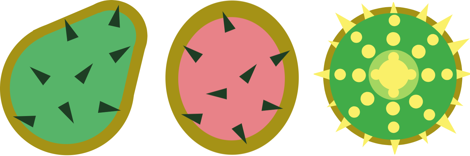 Cactus Pads Clipart (1500x500), Png Download