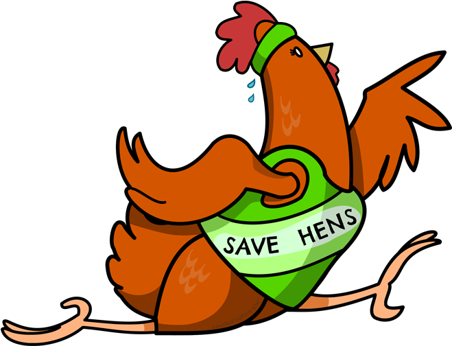 The Great Chicken Run Is Here Clipart (698x562), Png Download