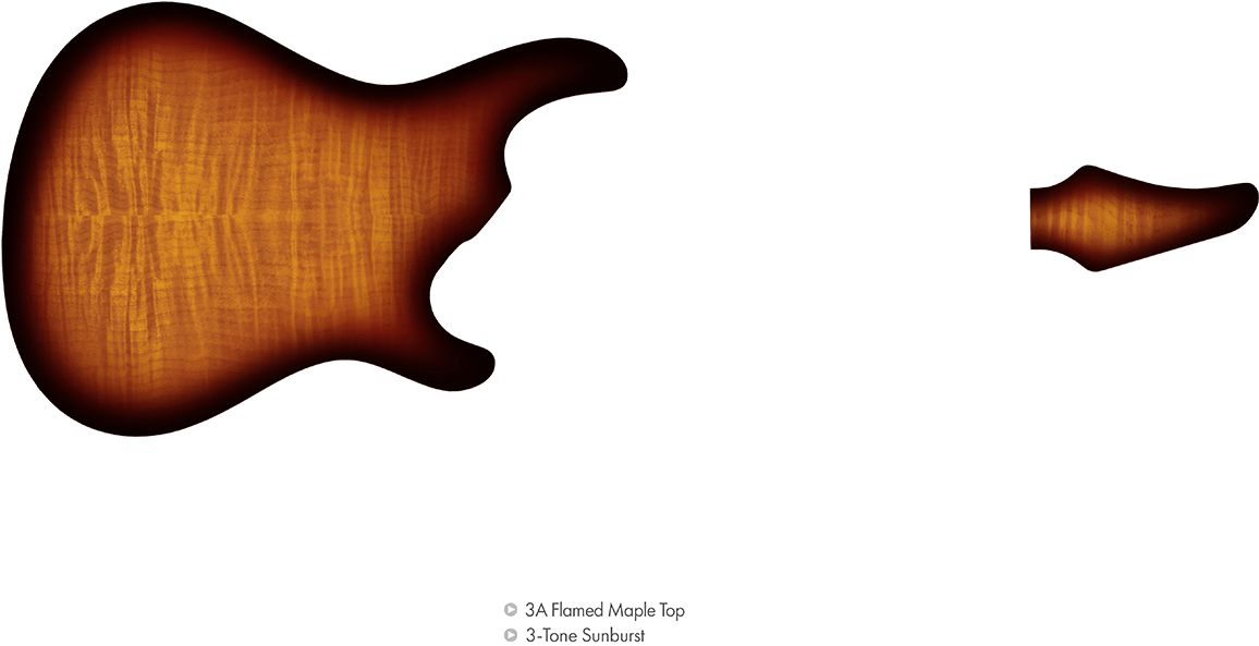 Neck3 - Pickups4 - Electronics5 - Hardware Clipart (1200x625), Png Download