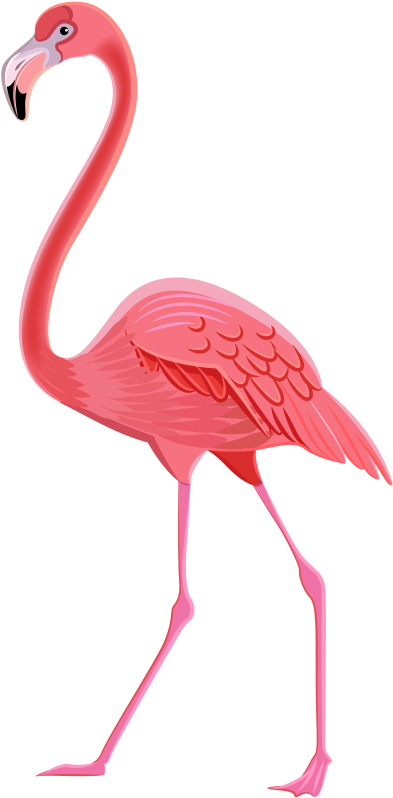 Flamingo Png Transparent Clip Art Image (400x813), Png Download