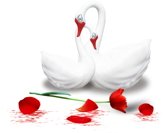 Explore These Ideas And Much More Clipart (738x576), Png Download