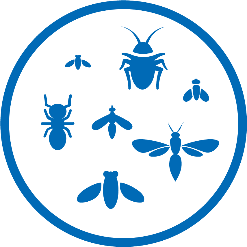 Safe And Powerful Insect Sprays Clipart (1000x1000), Png Download