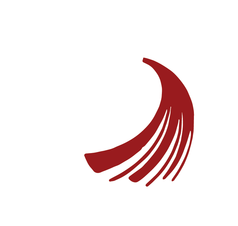 The Colosseum Strength & Conditioning Clipart (842x787), Png Download