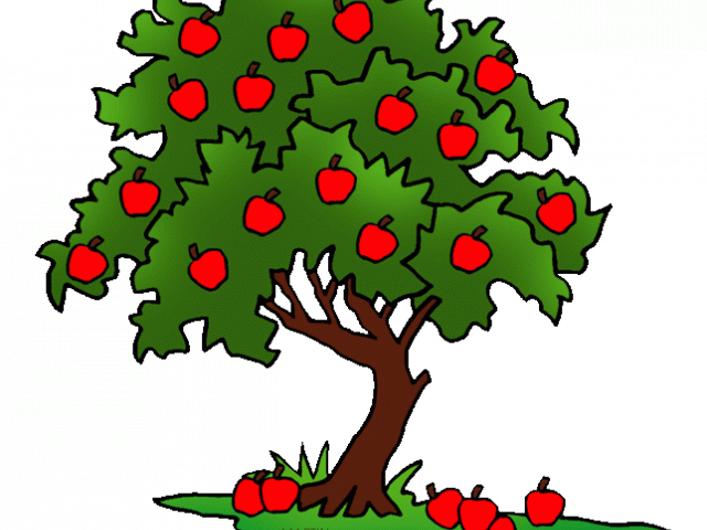 Seeds Clipart Tree Clip Art - Png Download (640x480), Png Download