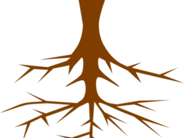 Roots Clipart Plant Root - Png Download (640x480), Png Download