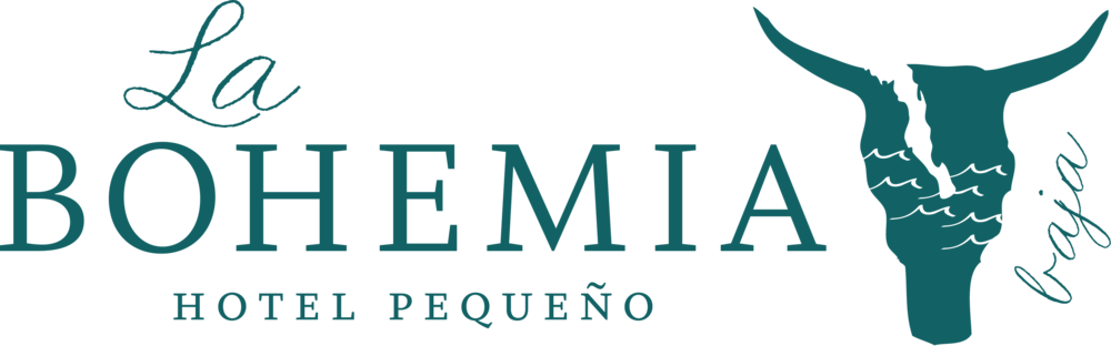 Visit Our Sister Property In Downtown Todos Santos Clipart (1000x312), Png Download