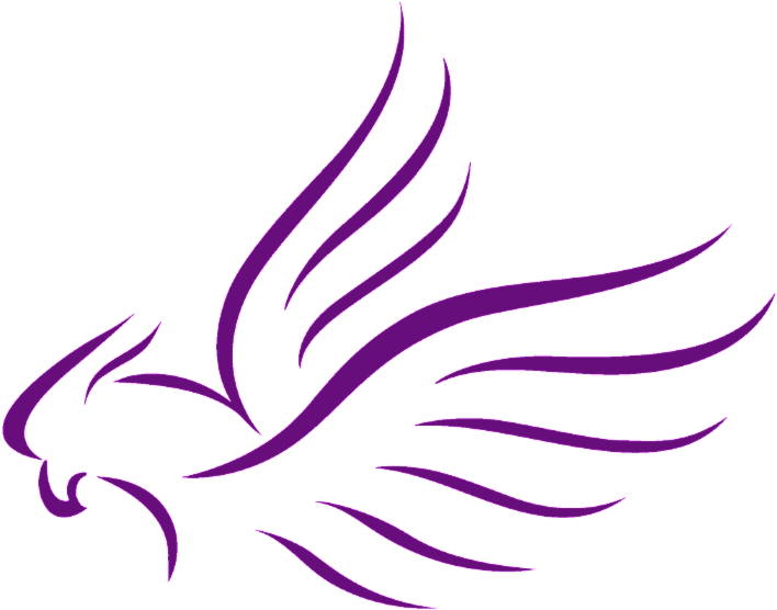Education Day & Clipart (800x576), Png Download