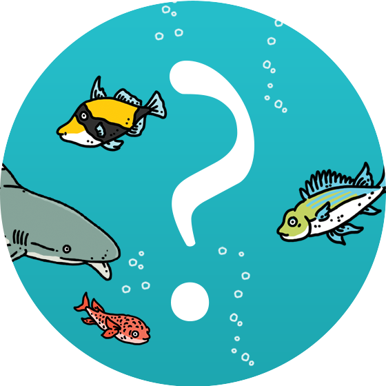 The What On Earth Timeline Of British History Ten Question Clipart (560x560), Png Download