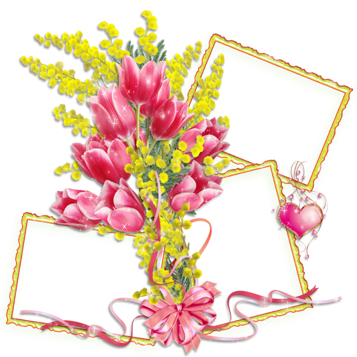 Mimosa Frames Clipart (700x700), Png Download