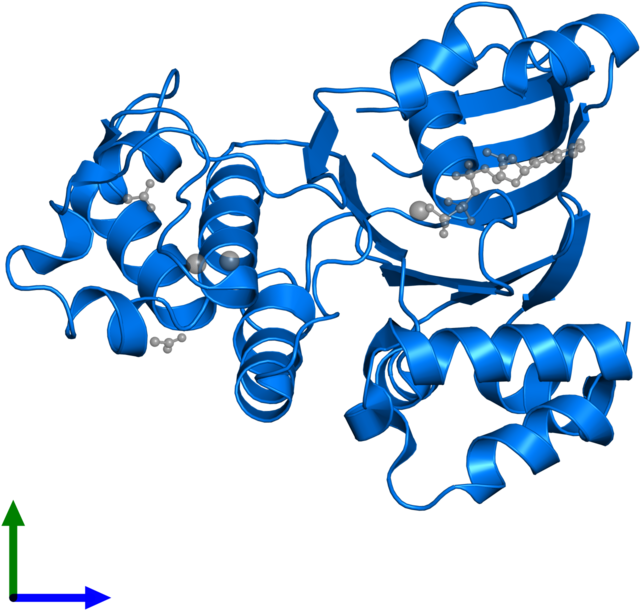 <div Class='caption-body'>pdb Entry 1xfa Contains 1 Clipart (800x800), Png Download