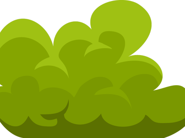 Vector Clipart Bush - Png Download (640x480), Png Download