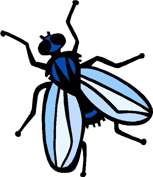 Black Flies And Such Darlene Sprague Clipart (564x599), Png Download