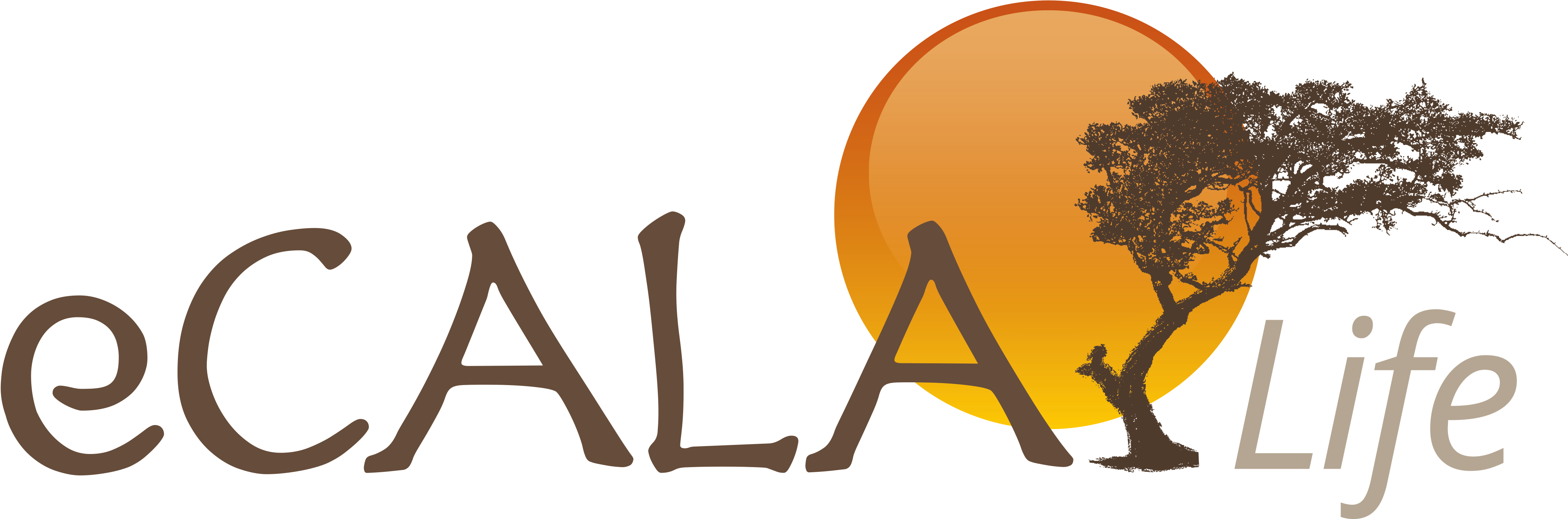 1n 2019, We Will Deliver All Leadership Programmes Clipart (3999x1309), Png Download