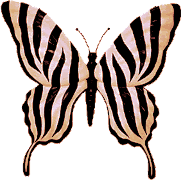 Papillon Hd Zebre Clipart (886x945), Png Download