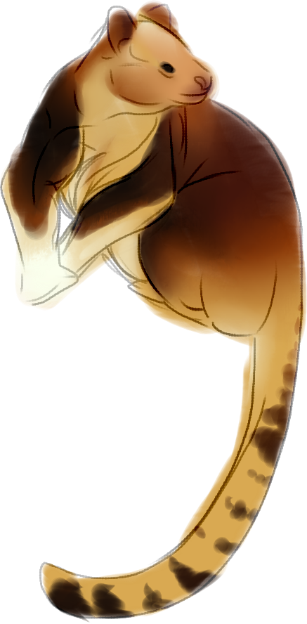 Berikut Ini Adalah Spesies Yang Masuk Ke Dalam Genus Clipart (437x888), Png Download