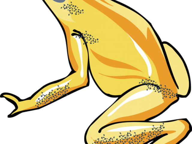 Tree Frog Clipart Transparent - Png Download (640x480), Png Download